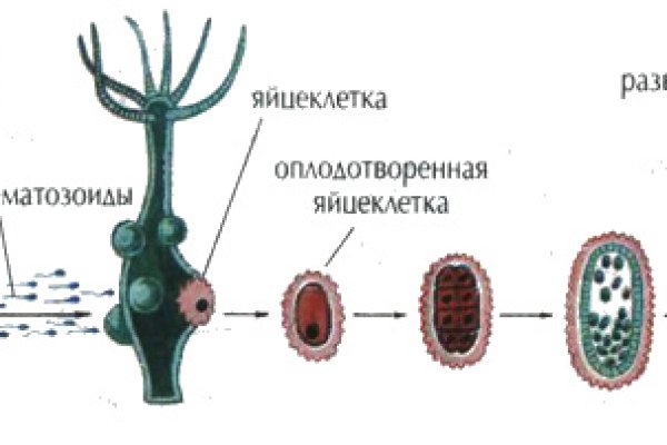 Магазин кракен дарк