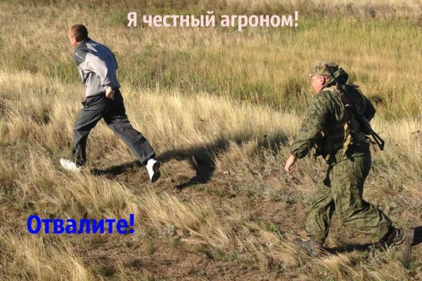 Кракен торговая площадка даркнет